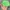 Vintage Streetwear Hat Pria green photo 2