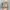 Realtree Vintage Streetwear Hat Pria Multicolor