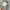 Vintage Streetwear Hat Pria green photo 5