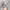 Vintage Streetwear Hat Pria green photo 1