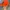 Reebok Vintage Streetwear Hat Pria orange photo 2