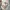 Vintage Streetwear Hat Pria tan photo 3
