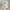 Vintage Streetwear Hat Pria tan photo 1