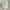 Vintage Streetwear Hat Pria Tan
