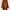 Izreel Kazuhiro Takakura Casual Pea Coat Wanita Brown