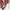 Vintage Y2K Formal shirt Pria red photo 2