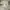 GAP Vintage Casual Leather jacket Pria white gray photo 2