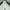 Ben Davis Avant Garde Hoody Pria white photo 2