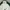 Ben Davis Avant Garde Hoody Pria White