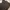Timberland Grunge Casual Jeans Pria black photo 4
