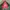 Adidas Avant Garde Hoody Pria multicolor photo 1