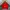 Feltics Avant Garde Hoody Pria Red