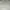 Champion Avant Garde Sweatshirt Pria gray photo 4