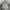 Champion Avant Garde Sweatshirt Pria gray photo 1