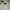 Champion Avant Garde Sweatshirt Pria gray photo 3