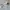 Champion Avant Garde Sweatshirt Pria gray photo 5