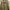 Champion Luxury Bomber Jacket Pria Tan