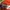 Champion Luxury Bomber jacket Pria tan photo 5