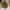 Jims Honey Minimalist Wanita green photo 1