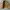 Vintage Casual Track jacket Pria tan brown photo 2