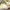 christian dior tricolor metallic slingback with photo 4