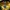 Brixton Vintage Luxury Hat Pria gold black photo 8
