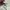 Adidas Y2K Futurist Windbreaker Pria multicolor photo 7