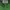 Nike Streetwear Sportswear Hoody Pria green photo 5