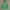 Nike Streetwear Sportswear Hoody Pria green photo 1