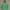 Nike Streetwear Sportswear Hoody Pria Green