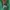Nike Streetwear Sportswear Hoody Pria green photo 4