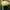 New Balance Casual Sneakers Pria green photo 6