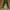 Vintage Casual Casual pants Pria green gray photo 3