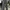 Vintage Casual pants Pria gray photo 3