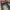 Vintage Streetwear Jeans Pria green black photo 3