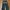 Vintage Streetwear Jeans Pria green black photo 2