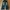 Vintage Streetwear Jeans Pria green black photo 1