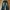 Vintage Streetwear Jeans Pria Green Black