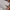 Vintage Streetwear Pria green photo 5