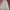 Vintage Streetwear Pria green photo 2