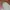 Vintage Streetwear Pria green photo 4