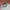 Vintage Streetwear Pria green photo 3