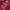 GAP Pakaian Nasional Hoody Pria red photo 2