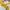 Salvatore Ferragamo Vintage Pria yellow photo 4