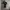 Polo Ralph Lauren Casual Polo shirt Pria black photo 1