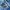 Parkland Streetwear Biker Track jacket Pria blue photo 4