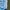 Parkland Streetwear Biker Track jacket Pria blue photo 2