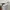 JanSport Streetwear Skater Sweatshirt Pria gray photo 5