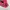 Pancoat Fairy Minimalist Sweatshirt Pria pink photo 4