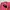 Pancoat Fairy Minimalist Sweatshirt Pria pink photo 2